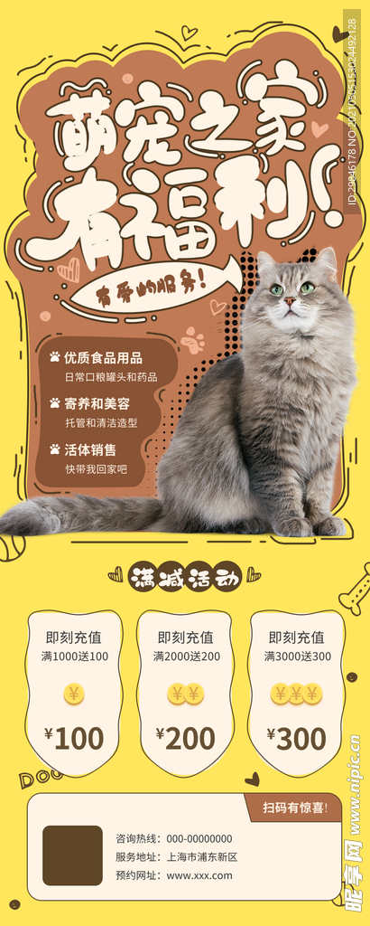 宠物长图