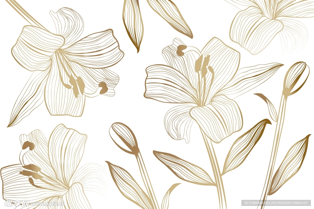 背景模板 展板背景      