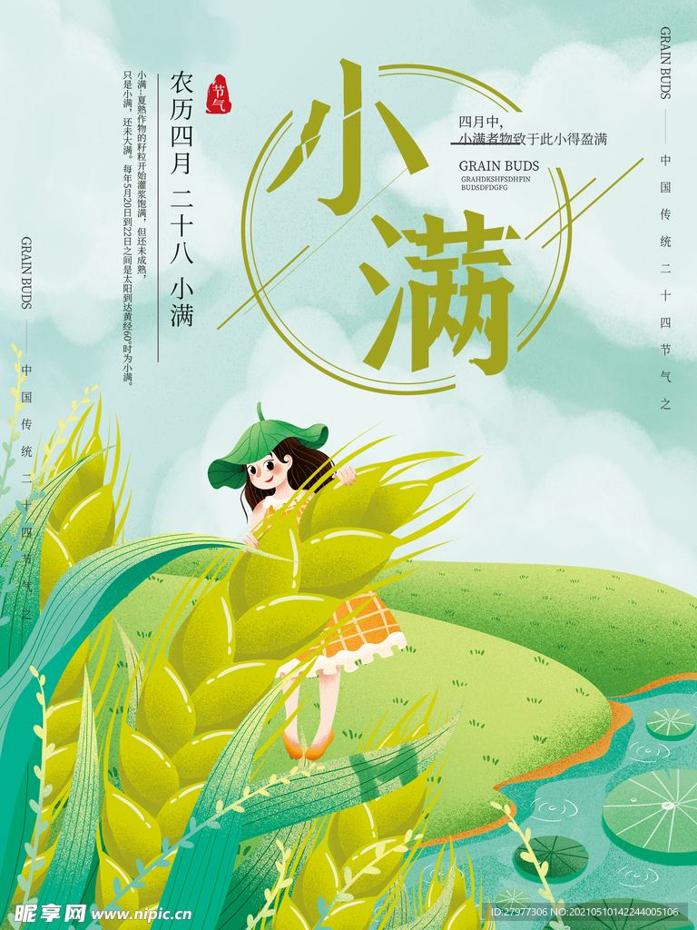 二十四节气小满插画手绘海报
