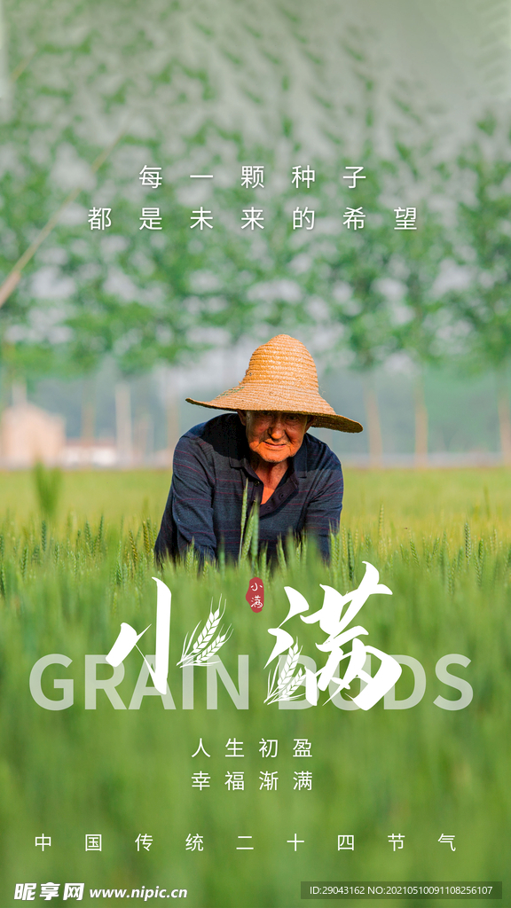 小满节气农民伯伯播种海报