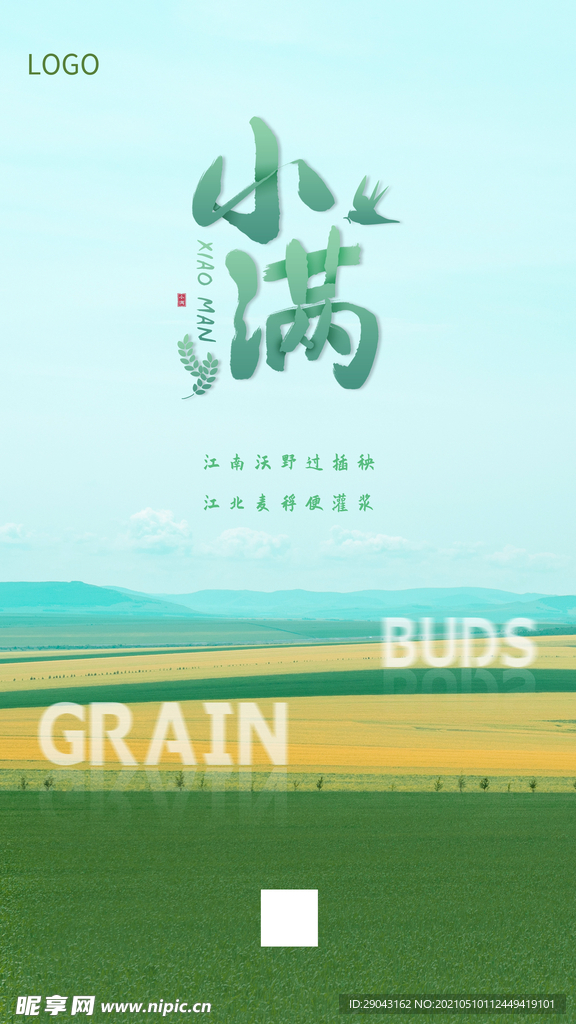 小满节气清新摄影图海报