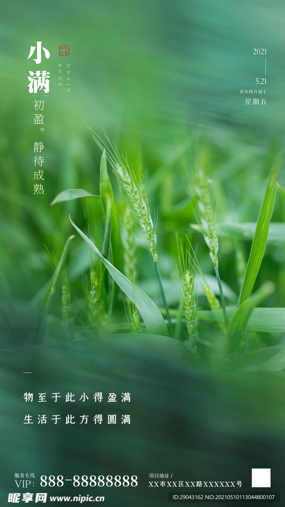 合成小满节气摄影图海报