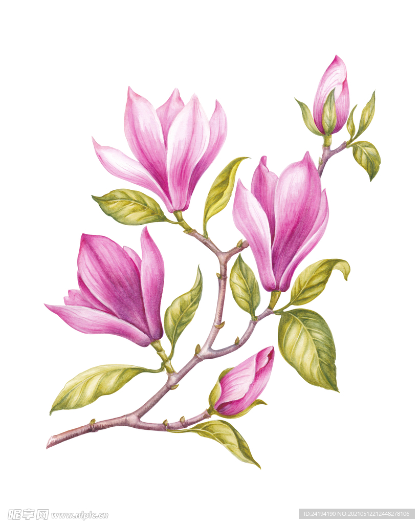 素材花