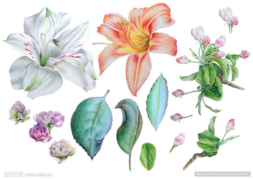 素材花