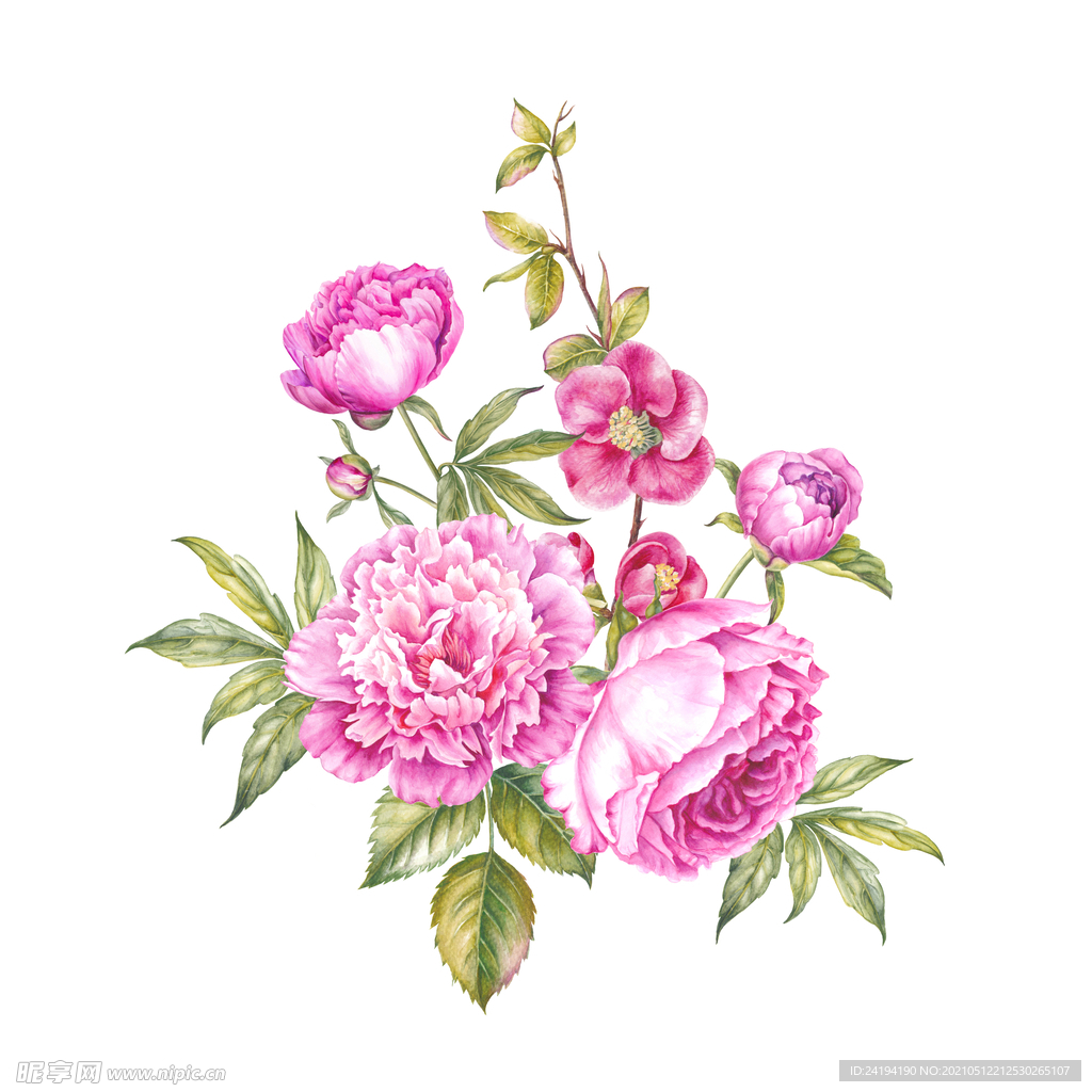 素材花