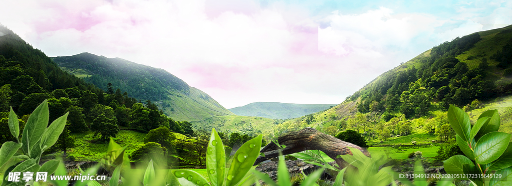 绿色背景