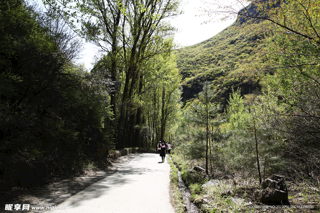 林间小路