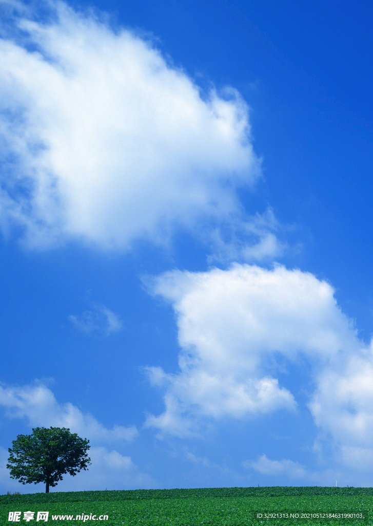 高清云层旷野一棵树意境背景