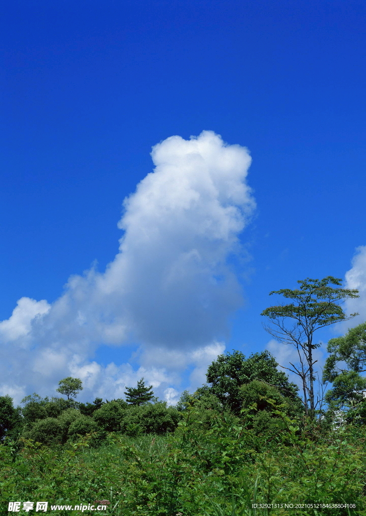 高清天空一朵云
