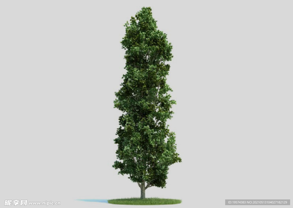 c4d模型道路景观树绿色植物