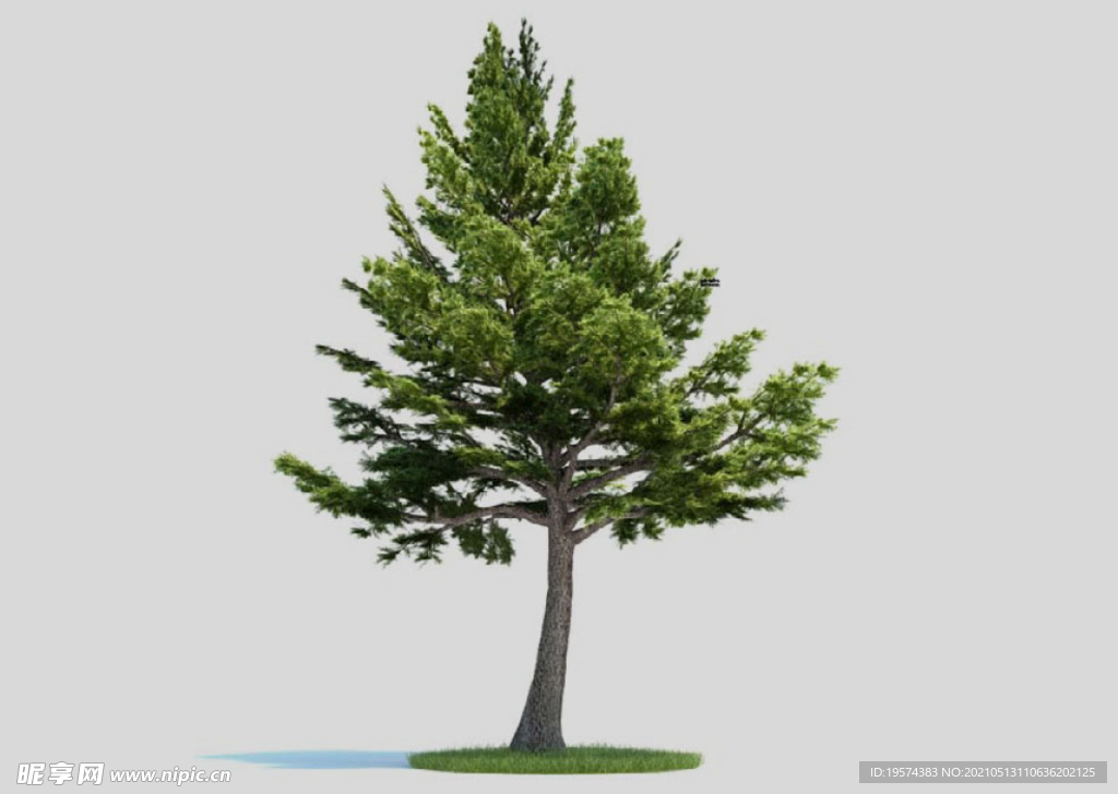 c4d模型道路景观树绿色植物