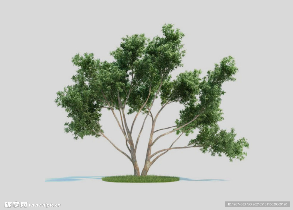 c4d模型道路景观树绿色植物