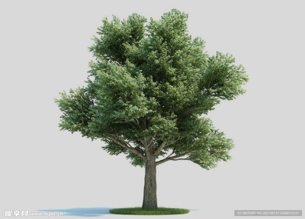 c4d模型道路景观树绿色植物