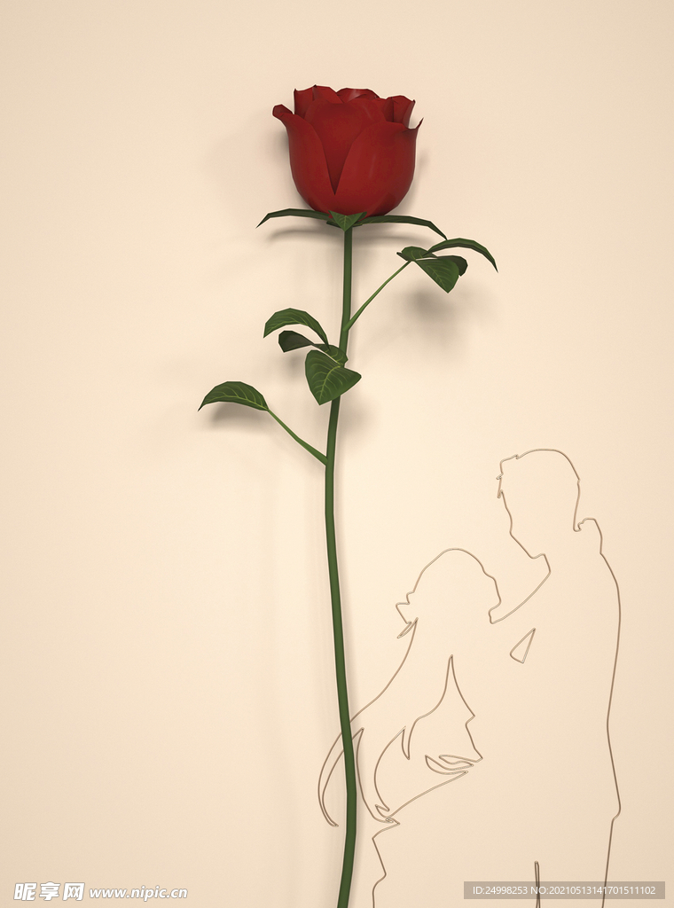 情人节玫瑰花