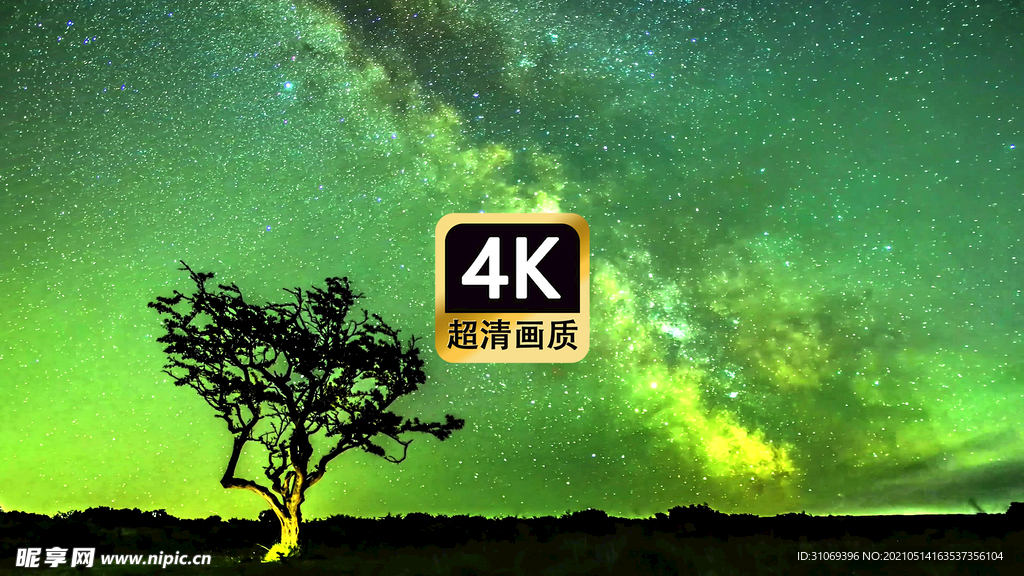 唯美夜空下大树星辰银河