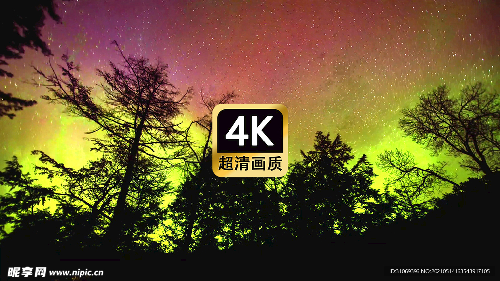 唯美夜空树林星辰极光
