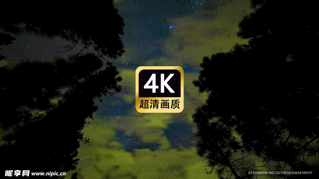 唯美夜空树林星空云层