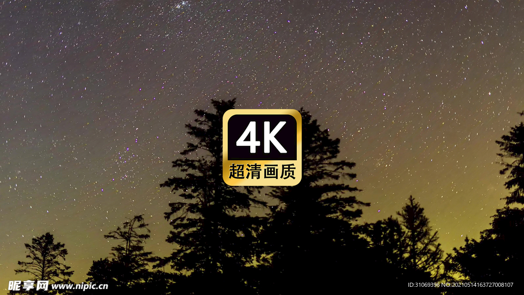 唯美夜空树林星空