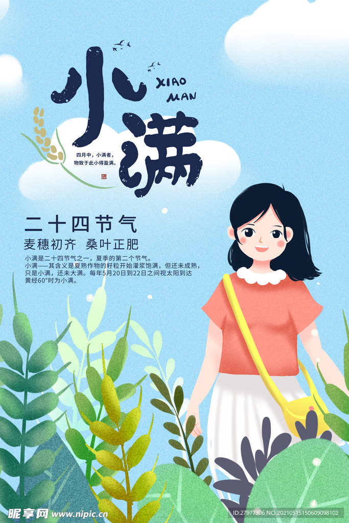 唯美小满24节气海报