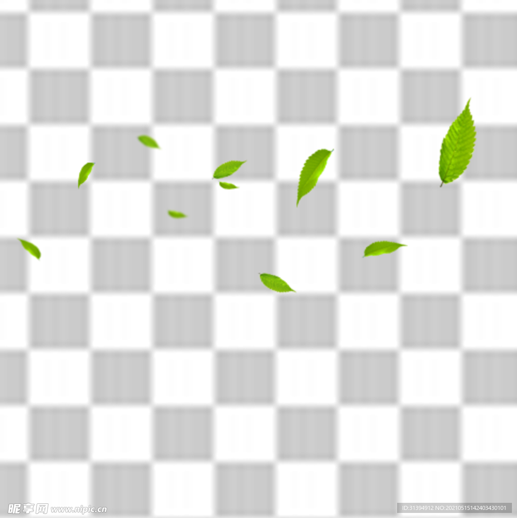 树叶