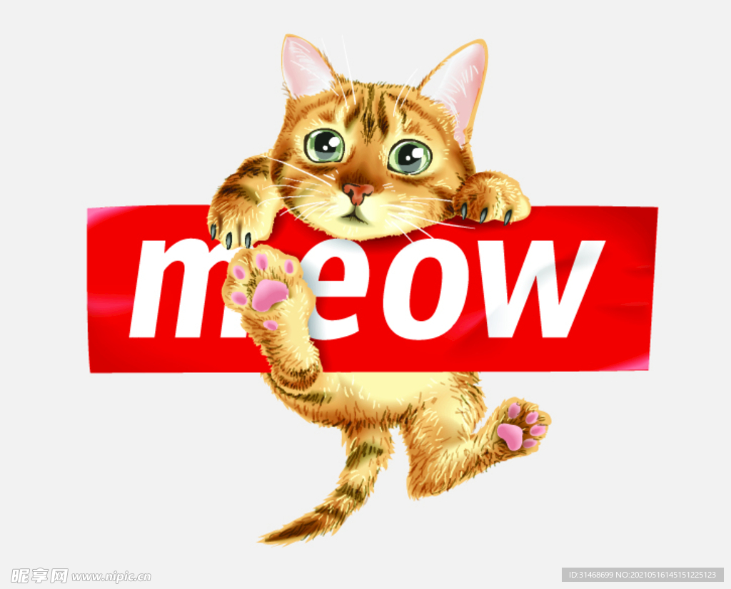 小猫