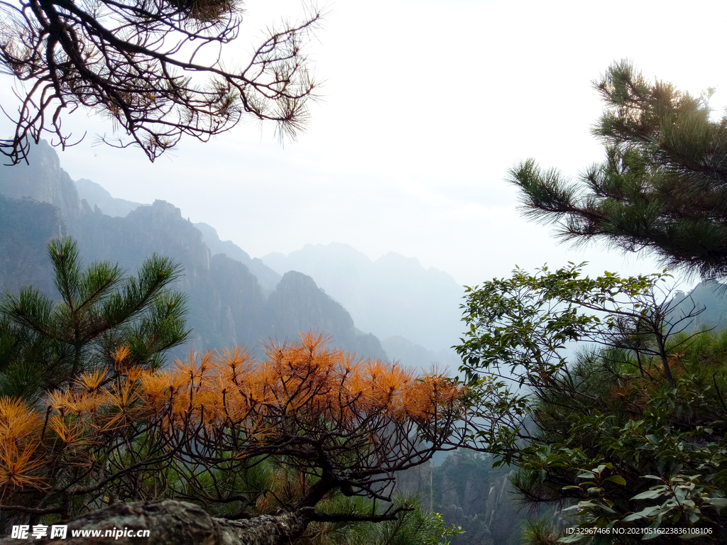 黄山惊鸿一瞥