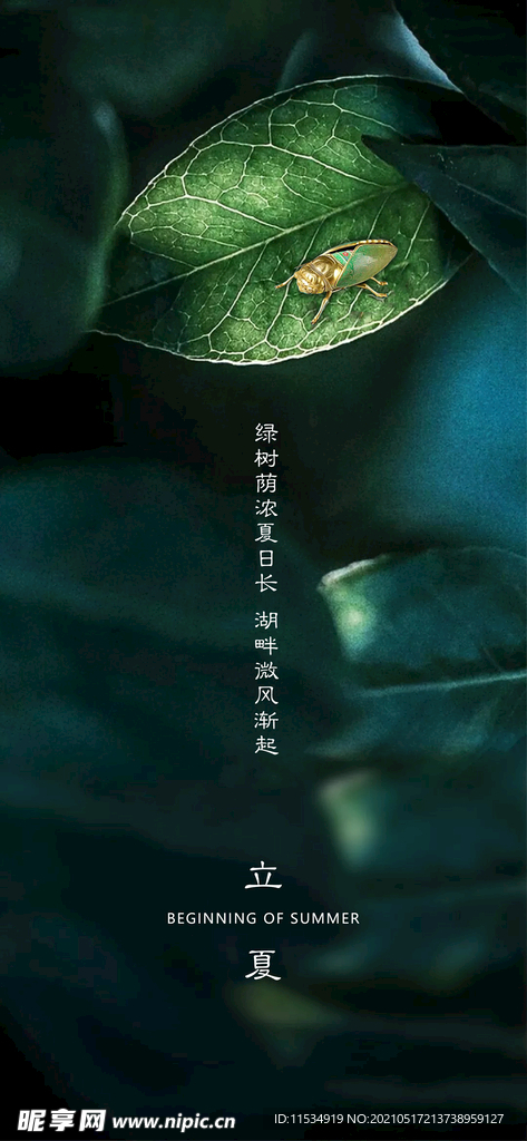 立夏节气海报