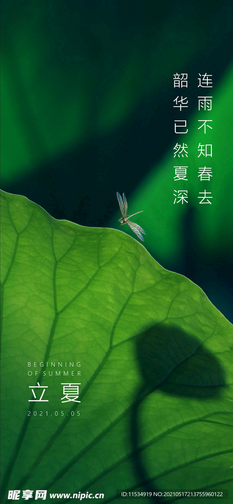 立夏节气海报