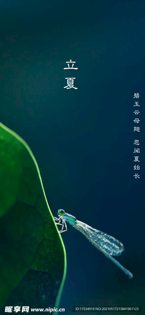 立夏节气海报