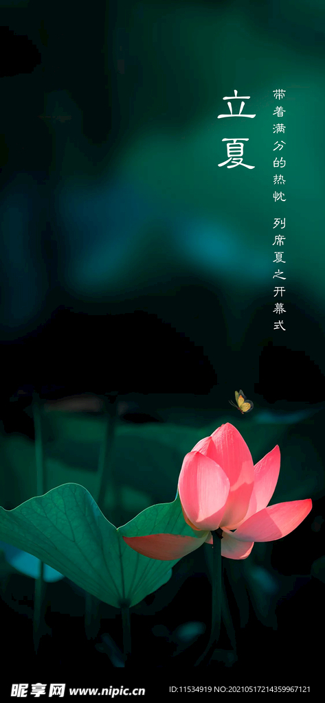 立夏节气海报