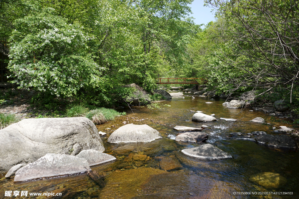 辽宁本溪老边沟山间的小溪和树林