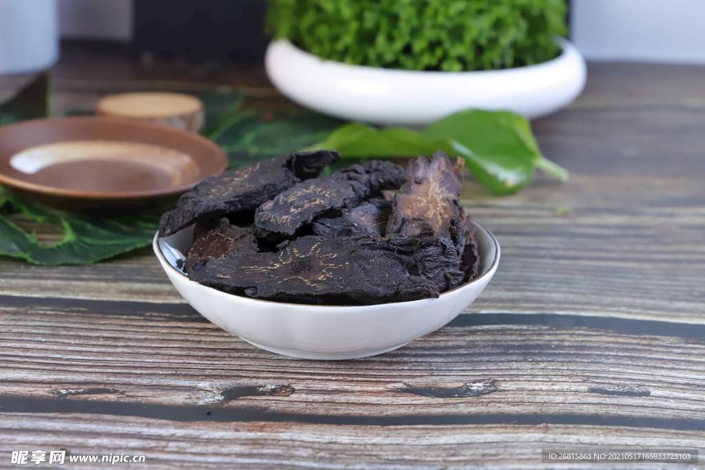 阿拉善肉苁蓉 大芸