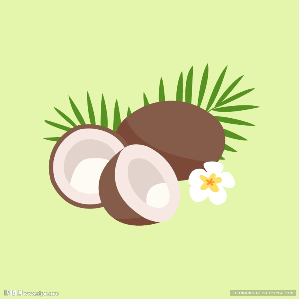 椰子插画元素