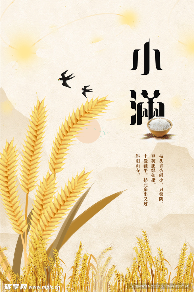 黄色小满节日海报简约大气