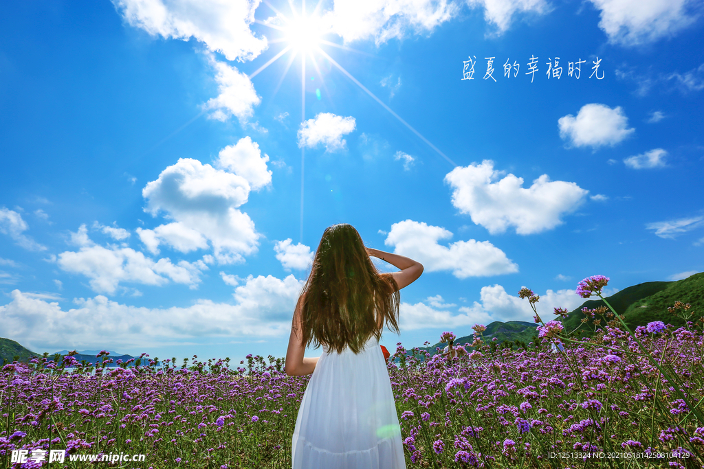 薰衣草