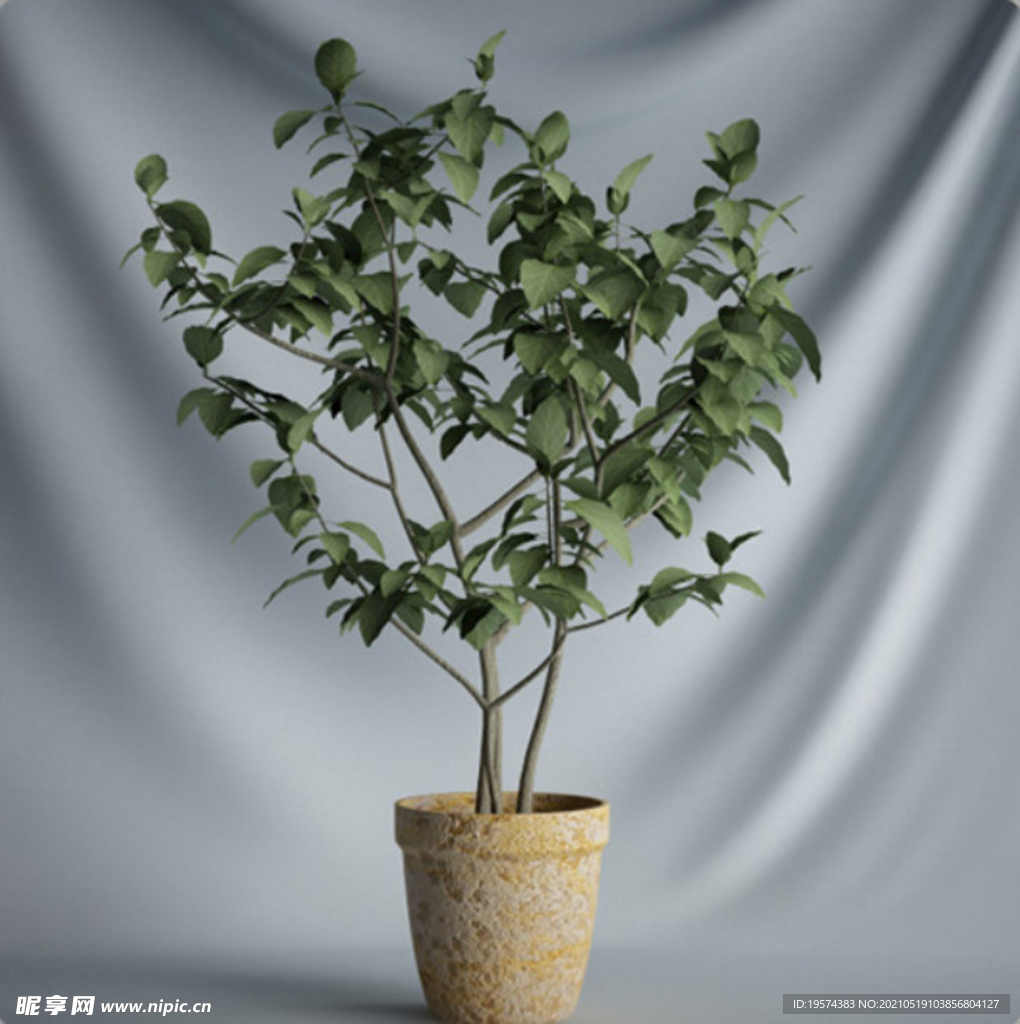 C4D模型盆栽绿色植物插花