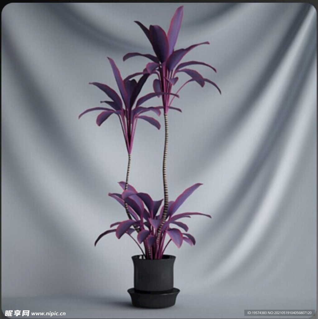 C4D模型盆栽绿色植物插花