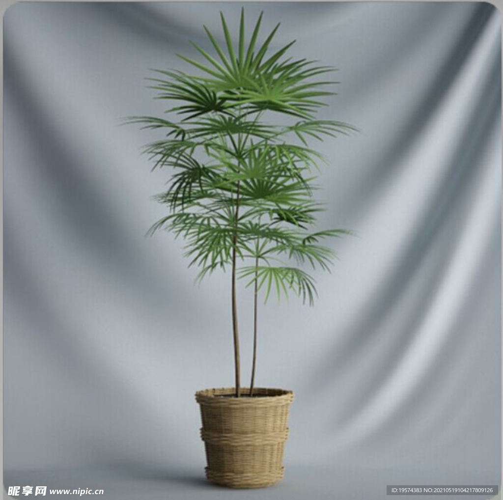 C4D模型盆栽绿色植物插花