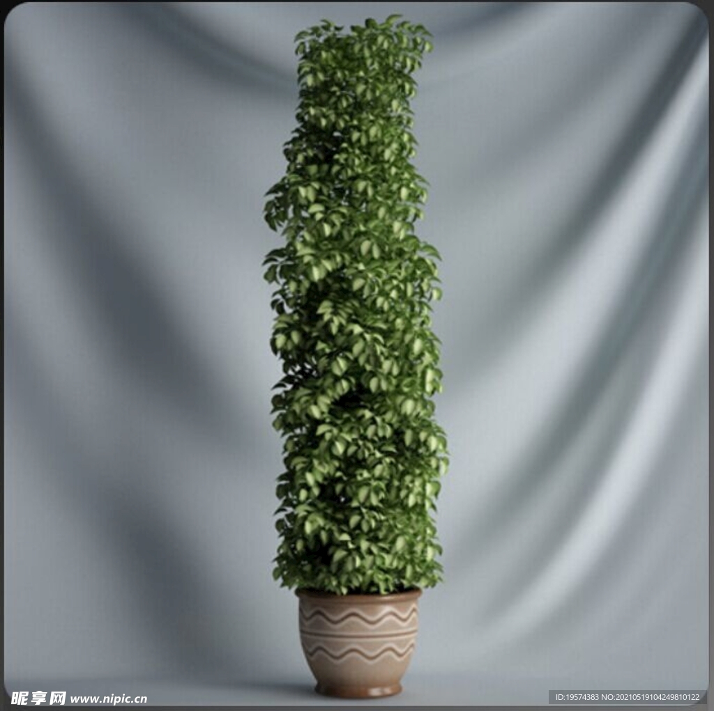 C4D模型盆栽绿色植物插花