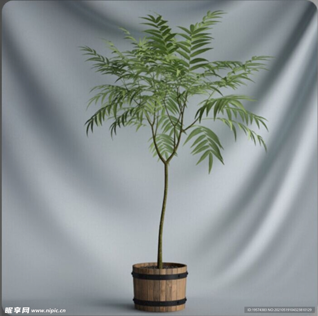 C4D模型盆栽绿色植物插花