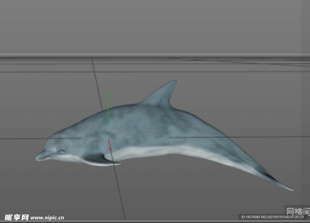 C4D模型海豚