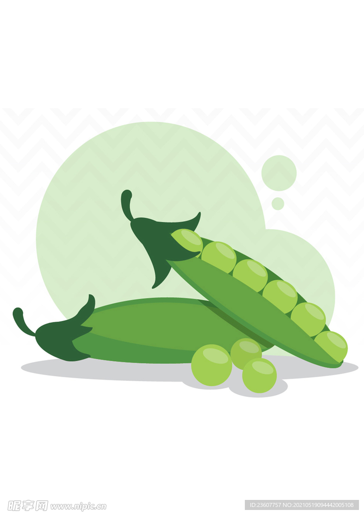 绿色植物