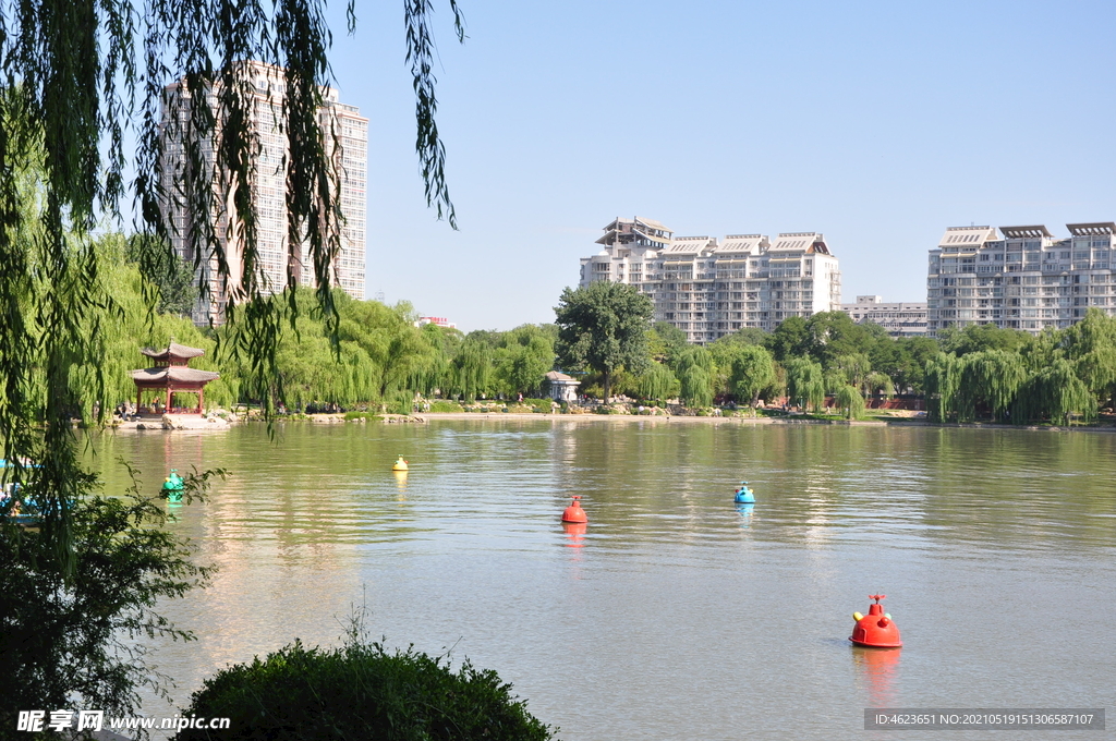 北京紫竹院公园湖面