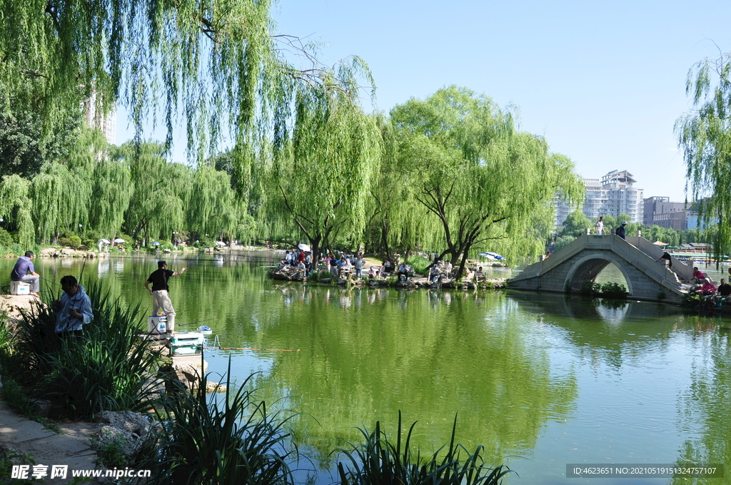 北京紫竹院公园湖面风光