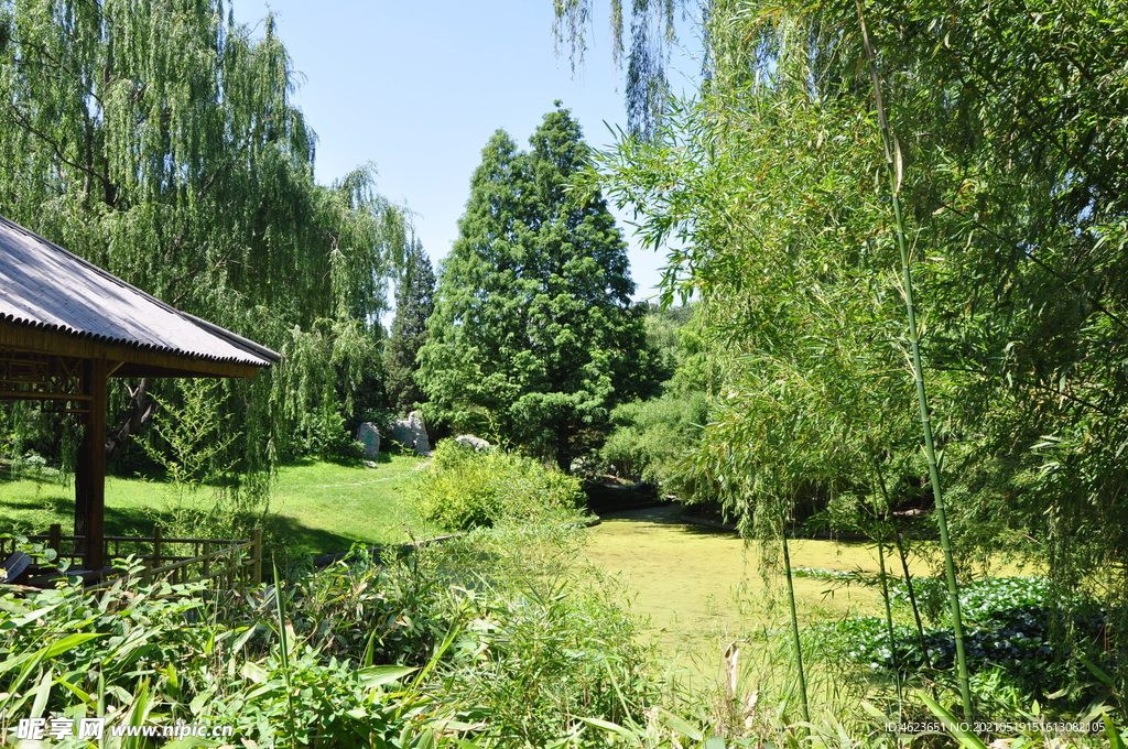 北京紫竹院公园植物景观