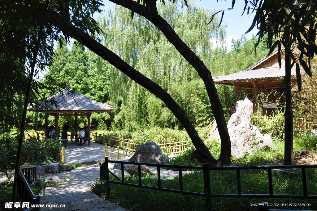 北京紫竹院公园景观凉亭绿云亭