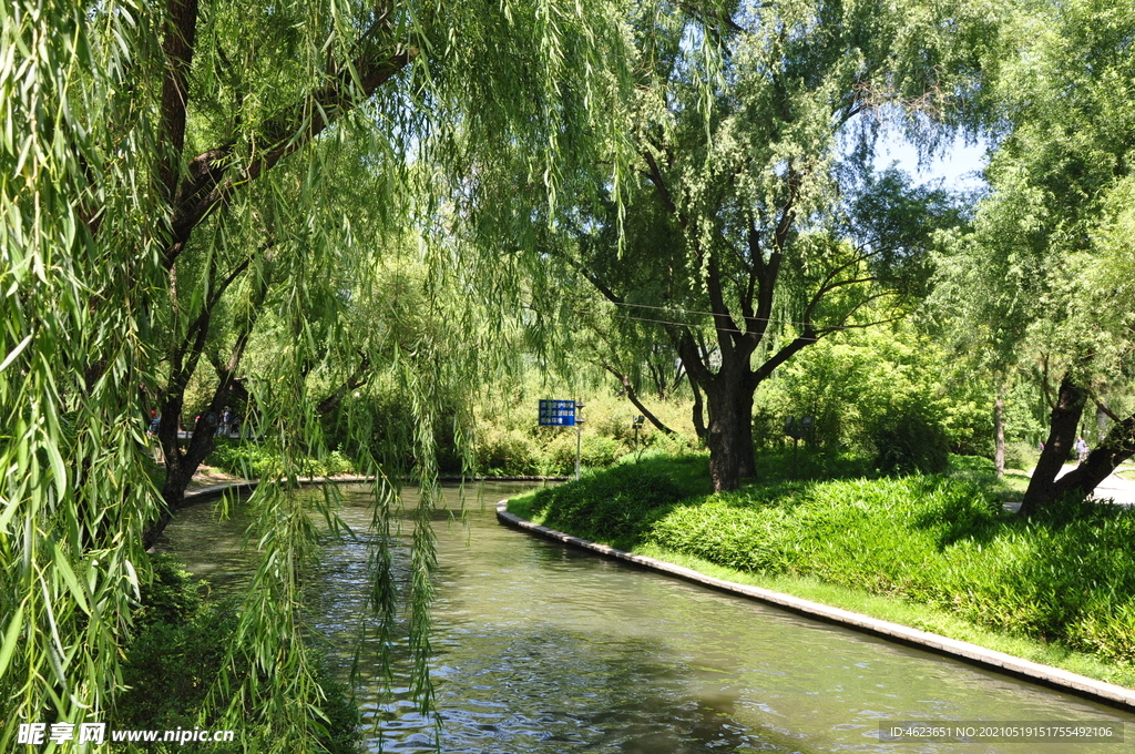 北京紫竹院公园河道景观