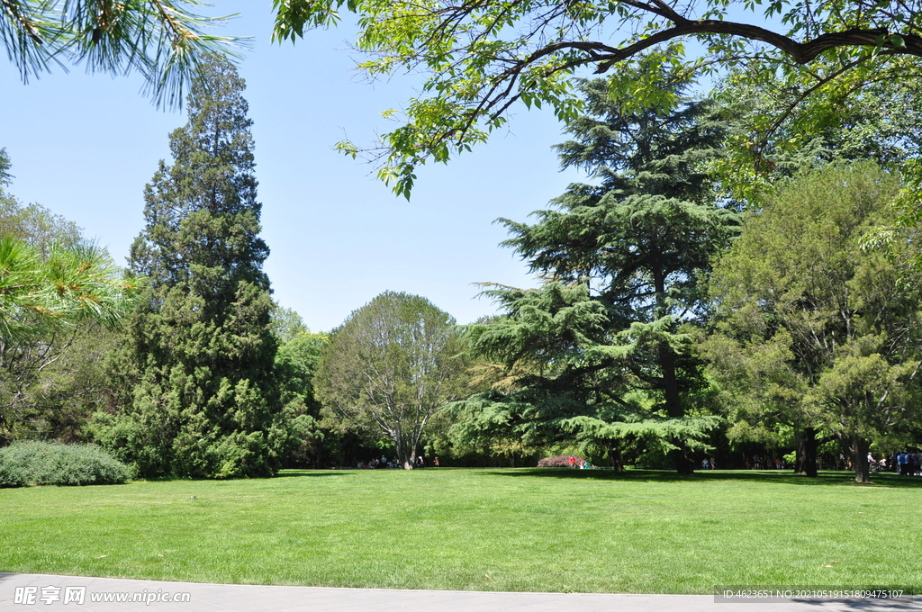 北京紫竹院公园景观草坪