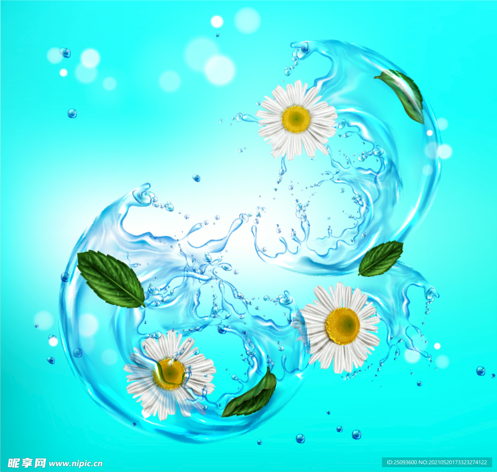 菊花水花
