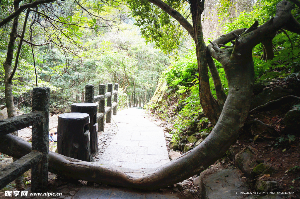 姑婆山